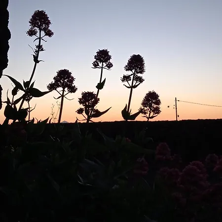 Сasa de vacaciones Casa Ben Abora *