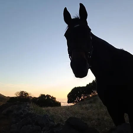 Casa Ben Abora * Las Rosas (El Hierro)