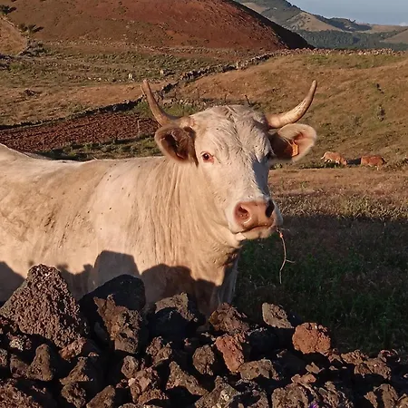 Casa Ben Abora * Las Rosas (El Hierro)