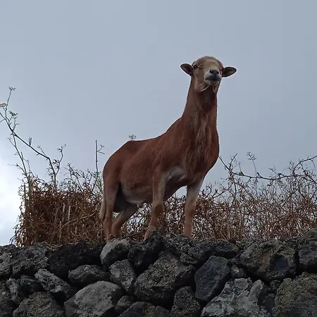 Casa Ben Abora Las Rosas (El Hierro)