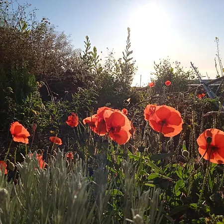 Сasa de vacaciones Casa Ben Abora *